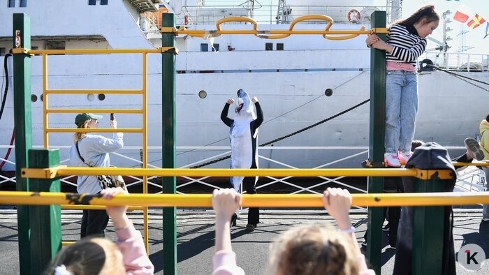 На «Дне селёдки» в Калининграде собрались 60 тысяч любителей рыбы, солнца, музыки и морских баек (фоторепортаж) - Новости Калининграда | Фото: Александр Подгорчук / «Клопс»