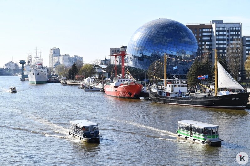 На «Дне селёдки» в Калининграде собрались 60 тысяч любителей рыбы, солнца, музыки и морских баек (фоторепортаж) - Новости Калининграда | Фото: Александр Подгорчук / «Клопс»