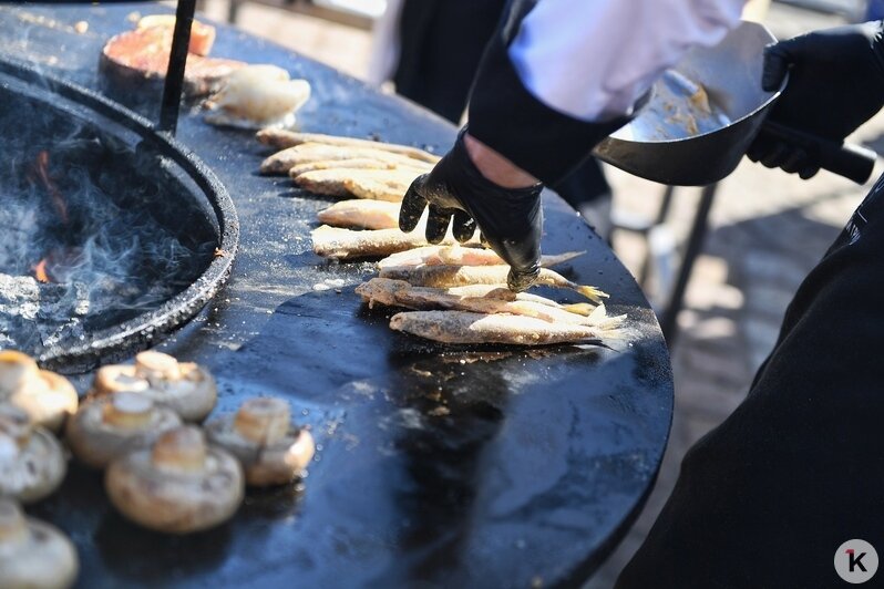 На «Дне селёдки» в Калининграде собрались 60 тысяч любителей рыбы, солнца, музыки и морских баек (фоторепортаж) - Новости Калининграда | Фото: Александр Подгорчук / «Клопс»