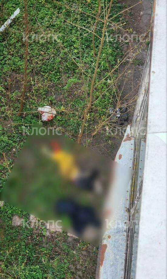 В Калининграде под окнами дома на Банковской нашли тело пожилой женщины (фото) - Новости Калининграда | Фото: очевидцы