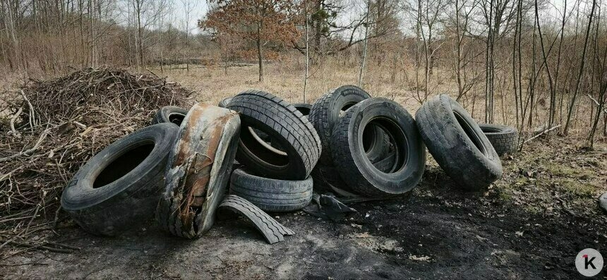 «Дикий способ»: эксперт рассказал, для чего в Калининградской области сжигают старые покрышки   - Новости Калининграда | Фото: архив «Клопс»