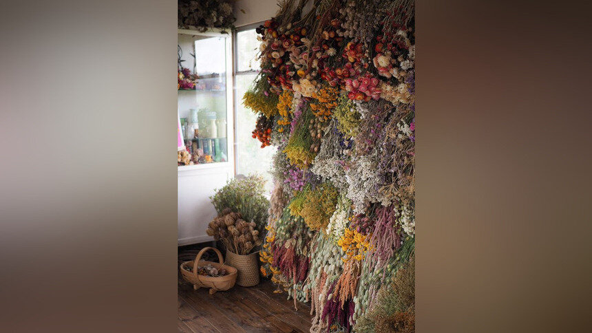 В Калининградской области планируют создать плантацию, где будут выращивать компоненты для парфюмерии - Новости Калининграда | Фото: Игорь Булгар