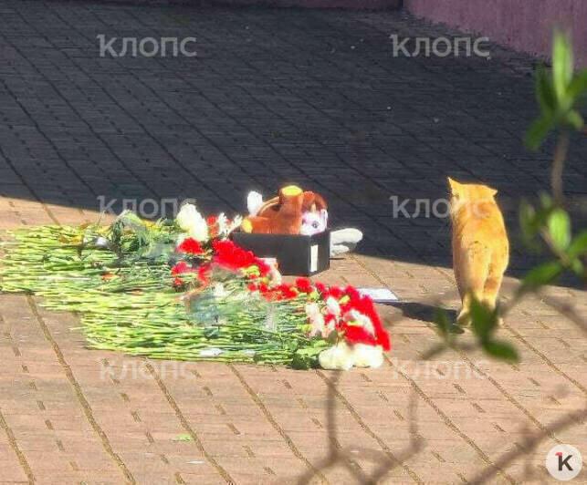 Девочка погибла днём 22 апреля  | Фото: Кристина Фомченкова 