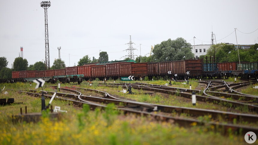 «Мы как школьники, которые прогуляли урок»: калининградский бизнес — о блокировках со стороны Россельхознадзора - Новости Калининграда | Фото: Александр Подгорчук / Архив «Клопс»
