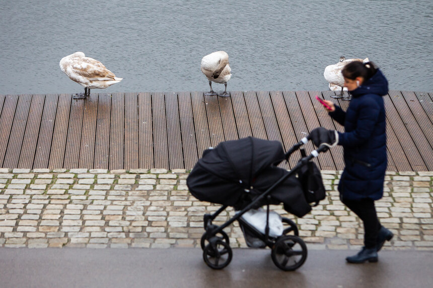В Калининграде почти половина мужчин не против уйти в декрет вместо жены — опрос - Новости Калининграда | Фото: архив «Клопс»