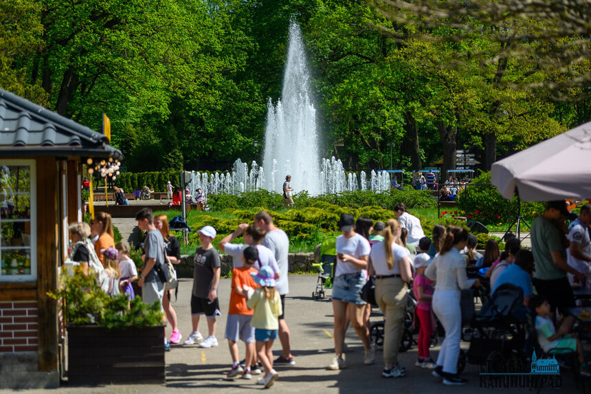 Зоопарк в Калининграде хорошеет с каждым годом | Фото: Александр Мелехов