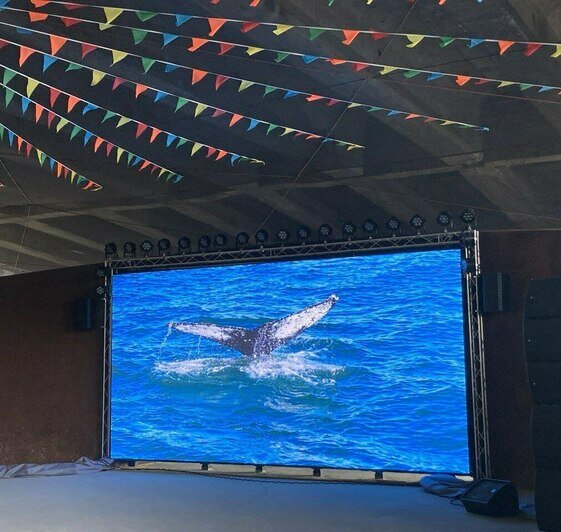 Копчёная сметана, немое кино и диджеи: на Острове запускают весеннюю ярмарку - Новости Калининграда