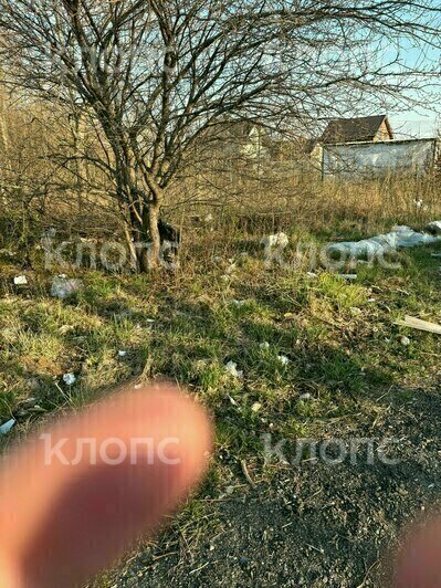 За Музеем мусора открылась альтернативная «экспозиция»: где ещё в Калининграде и области погрязли в отходах (фото)    - Новости Калининграда | Фото: Галина