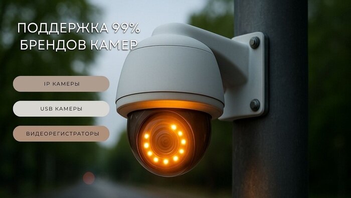 Не просто запись: как камеры с Xeoma замечают то, что вы упустили - Новости Калининграда