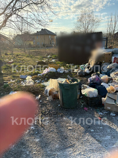 За Музеем мусора открылась альтернативная «экспозиция»: где ещё в Калининграде и области погрязли в отходах (фото)    - Новости Калининграда | Фото: Галина