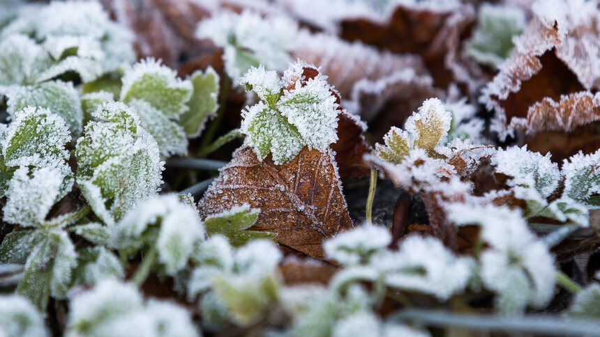Рассветы и закаты уйдут в минус: прогноз погоды в Калининграде и области на 21 апреля - Новости Калининграда | Фото: Александр Подгорчук / Архив «Клопс»