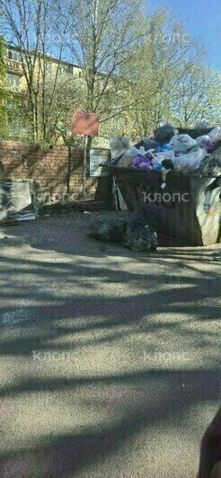 За Музеем мусора открылась альтернативная «экспозиция»: где ещё в Калининграде и области погрязли в отходах (фото)    - Новости Калининграда | Фото: очевидец