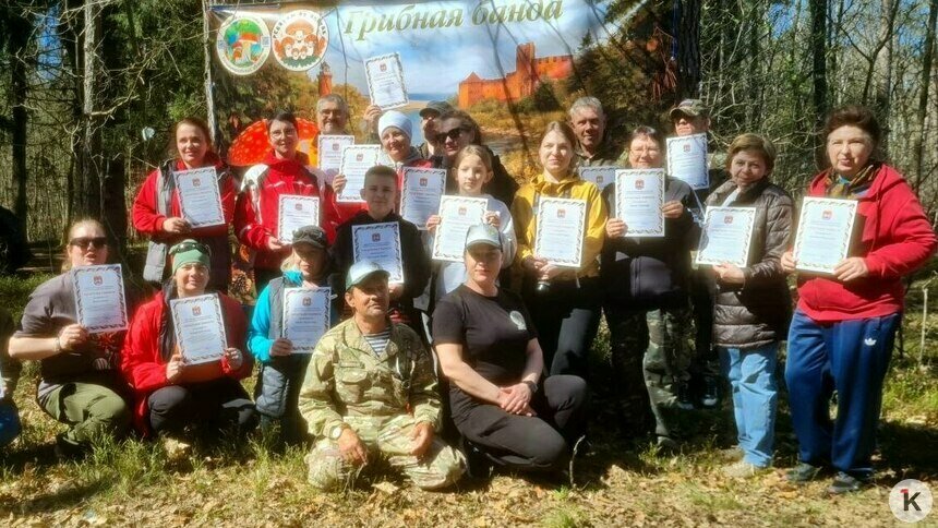 За месяц субботников из калининградских лесов вывезли пять грузовиков мусора и раскрыли места сморчков (фото)   - Новости Калининграда | Фото: Николай Смирнов