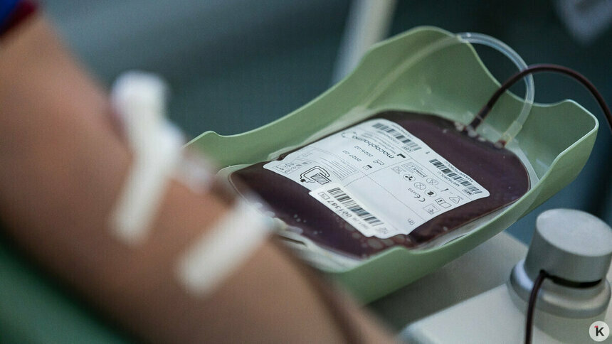 Власти Калининградской области выделили 14 млн на покупку машины для перевозки крови и её компонентов  - Новости Калининграда | Фото: Александр Подгорчук / «Клопс»