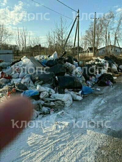 За Музеем мусора открылась альтернативная «экспозиция»: где ещё в Калининграде и области погрязли в отходах (фото)    - Новости Калининграда | Фото: Галина