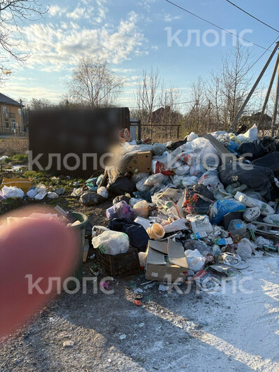 За Музеем мусора открылась альтернативная «экспозиция»: где ещё в Калининграде и области погрязли в отходах (фото)    - Новости Калининграда | Фото: Галина