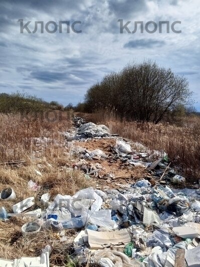 За Музеем мусора открылась альтернативная «экспозиция»: где ещё в Калининграде и области погрязли в отходах (фото)    - Новости Калининграда | Фото: Ольга 