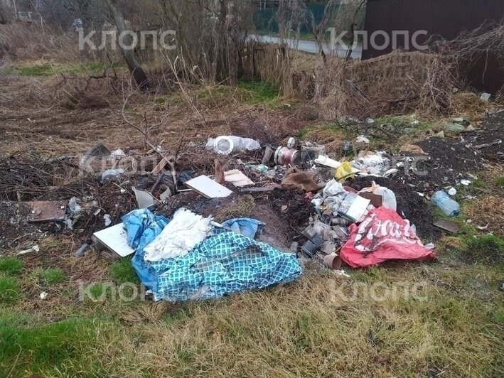 За Музеем мусора открылась альтернативная «экспозиция»: где ещё в Калининграде и области погрязли в отходах (фото)    - Новости Калининграда | Фото: Виталий Нехвядович