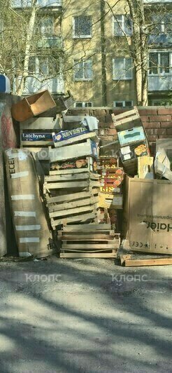 За Музеем мусора открылась альтернативная «экспозиция»: где ещё в Калининграде и области погрязли в отходах (фото)    - Новости Калининграда | Фото: очевидец