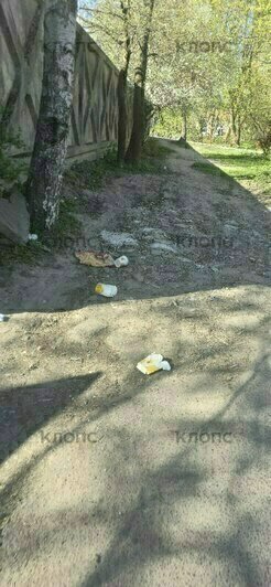 За Музеем мусора открылась альтернативная «экспозиция»: где ещё в Калининграде и области погрязли в отходах (фото)    - Новости Калининграда | Фото: очевидец