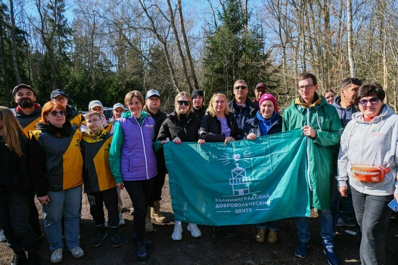 На Куршской косе укрепили уязвимый участок авандюны, по которому гости нацпарка любят прогуляться к морю (фото) - Новости Калининграда | Фото: канал национального парка «Куршская коса» / Телеграм