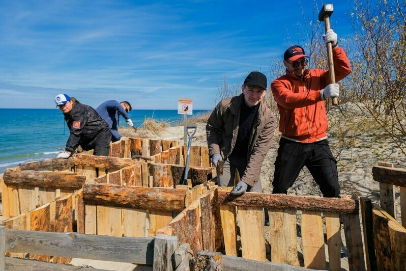 На Куршской косе укрепили уязвимый участок авандюны, по которому гости нацпарка любят прогуляться к морю (фото) - Новости Калининграда | Фото: канал национального парка «Куршская коса» / Телеграм