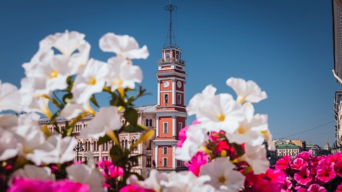 Медицинский туризм: куда глаза глядят - Новости Калининграда