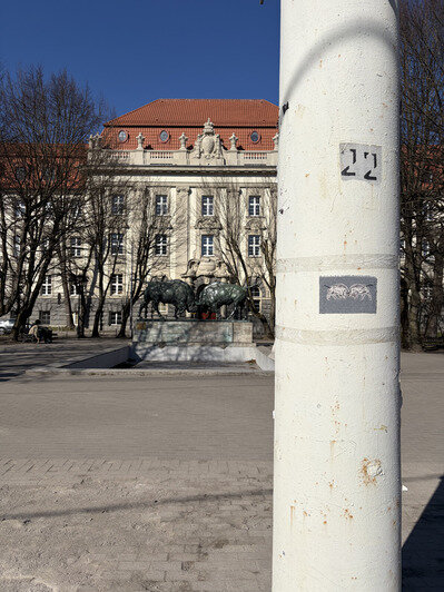 Каштаны, чайки, котики и аисты: на улицах Калининграда и области появились необычные вышитые картины (фото) - Новости Калининграда | Фото: Валерия Конах