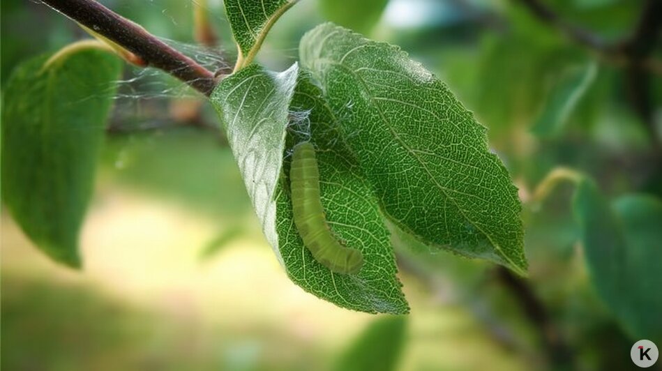 Кто съест яблоки за вас: как бороться с тлёй и долгоносиками во время цветения, рассказал калининградский агроном   - Новости Калининграда | Иллюстрация: Ксения Александрова / Midjourney