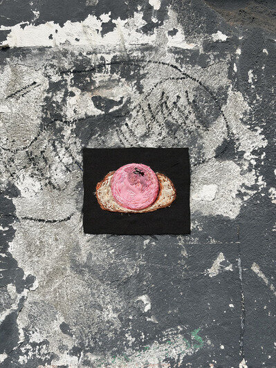 Каштаны, чайки, котики и аисты: на улицах Калининграда и области появились необычные вышитые картины (фото) - Новости Калининграда | Фото: Валерия Конах