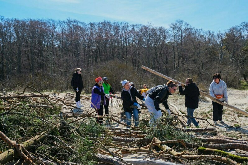 На Куршской косе укрепили уязвимый участок авандюны, по которому гости нацпарка любят прогуляться к морю (фото) - Новости Калининграда | Фото: канал национального парка «Куршская коса» / Телеграм