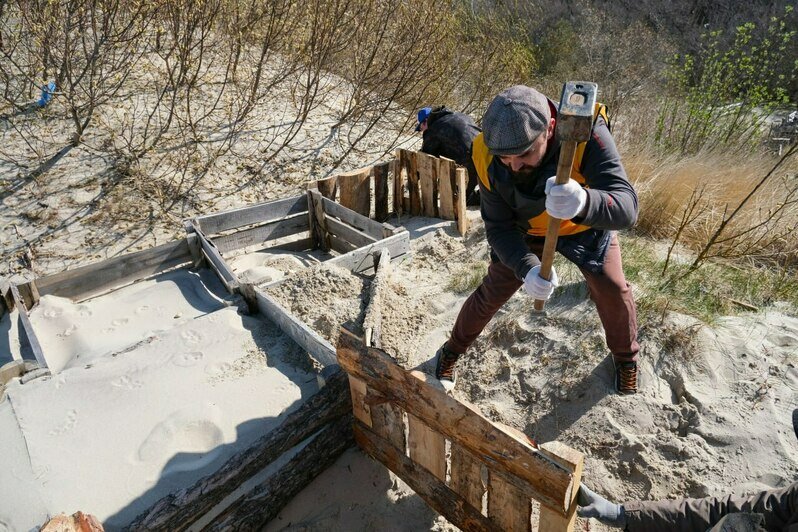 На Куршской косе укрепили уязвимый участок авандюны, по которому гости нацпарка любят прогуляться к морю (фото) - Новости Калининграда | Фото: канал национального парка «Куршская коса» / Телеграм