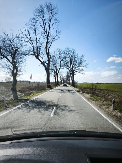 Петербуржец за неделю посмотрел 10 городов Калининградской области и рассказал, как спланировать путешествие (фото) - Новости Калининграда