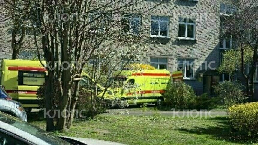 В Калининграде восьмиклассница выпала из окна гимназии - Новости Калининграда | Фото: очевидец 
