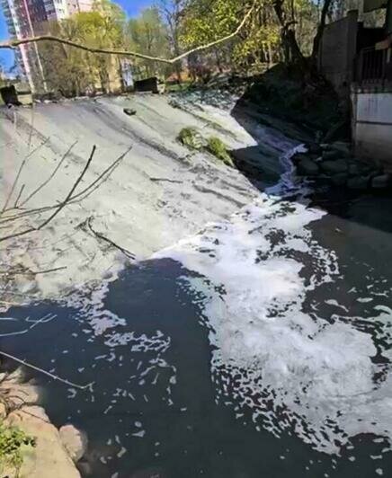 Гагаринский ручей снова пугает жителей Калининграда ароматами канализации и серым цветом воды (видео)   - Новости Калининграда | Скриншот видео: Денис А.