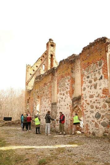 Убрали бурелом после зимних штормов: «Хранители руин» навели порядок на Бальге (фото)  - Новости Калининграда | Фото: «Хранители руин» 