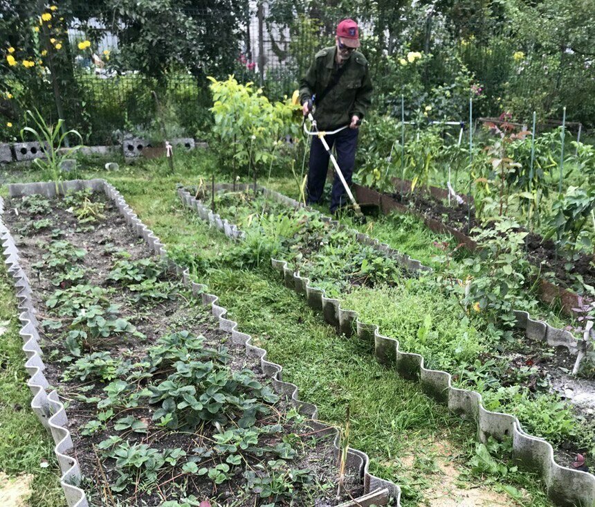 В почве насекомые могут зимовать на разных стадиях развития | Фото: архив "СК"