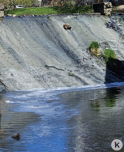 Гагаринский ручей снова пугает жителей Калининграда ароматами канализации и серым цветом воды (обновлено)   - Новости Калининграда | Скриншот видео: Денис А.