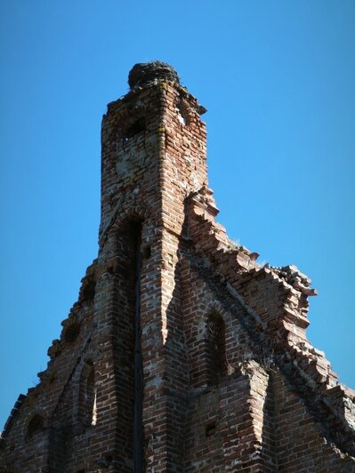 Петербуржец за неделю посмотрел 10 городов Калининградской области и рассказал, как спланировать путешествие (фото) - Новости Калининграда | Фото: Вячеслава из Санкт-Петербурга