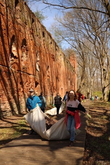 Убрали бурелом после зимних штормов: «Хранители руин» навели порядок на Бальге (фото)  - Новости Калининграда | Фото: Хранители руин