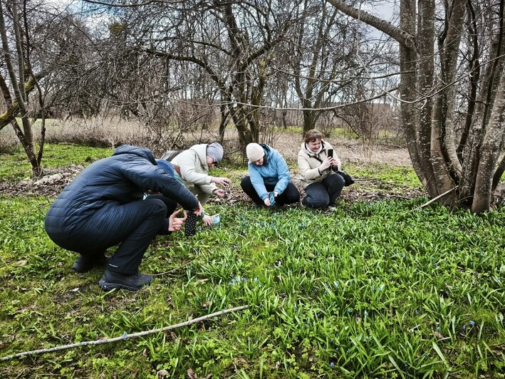 Петербуржец за неделю посмотрел 10 городов Калининградской области и рассказал, как спланировать путешествие (фото) - Новости Калининграда