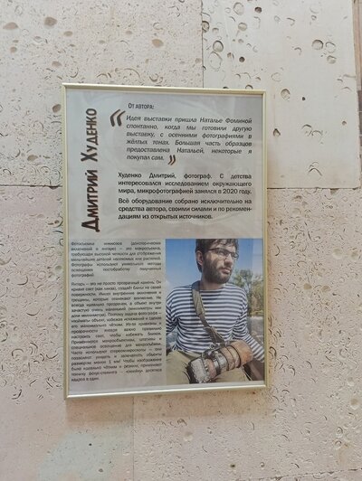 250 снимков ради одной работы: калининградский фотограф с помощью микроскопа запечатлел насекомых в янтаре - Новости Калининграда | Фото: Дмитрий Худенко и Наталья Фомина