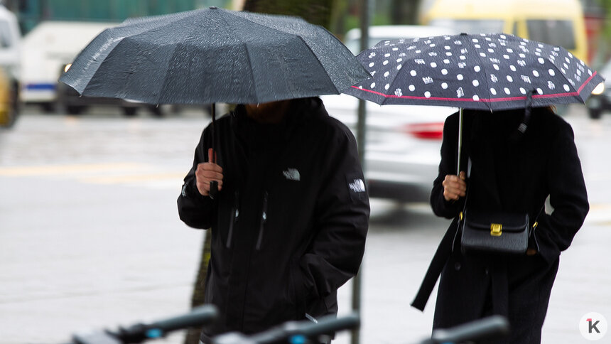 Малооблачно, возможен дождь: погода в Калининграде и области во вторник, 28 апреля   - Новости Калининграда | Фото: Александр Подгорчук / Архив «Клопс»