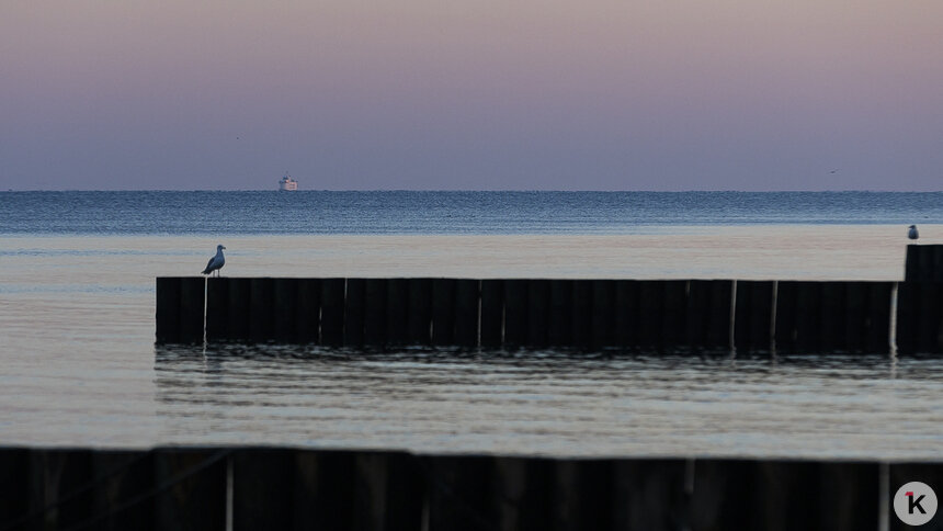 В Пионерский в майские праздники зайдёт паром «Антей» - Новости Калининграда | Фото: Александр Подгорчук / Архив «Клопс»