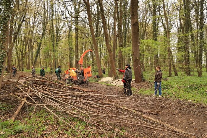 Активисты привели в порядок общественные зелёные зоны | Фото: Игорь Котов