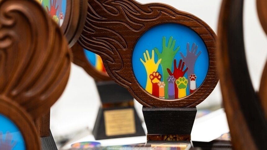 Пушистые спасатели, терапевты и артисты: в Зеленоградске наградили питомцев, совершивших значимые поступки - Новости Калининграда | Фото: сообщество «Премия "Мой ласковый и нужный зверь"» во «ВКонтакте»