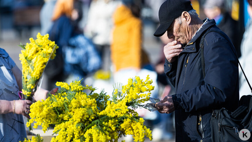 Цветы стали дороже, а платья — дешевле: как изменились в марте цены на промтовары в Калининградской области   - Новости Калининграда | Фото: Александр Подгорчук / Архив «Клопс»