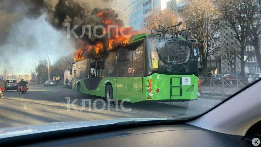 Дятлова рассказала о судьбе «собрата» сгоревшего на Московском проспекте троллейбуса - Новости Калининграда | Фото: архив «Клопс»