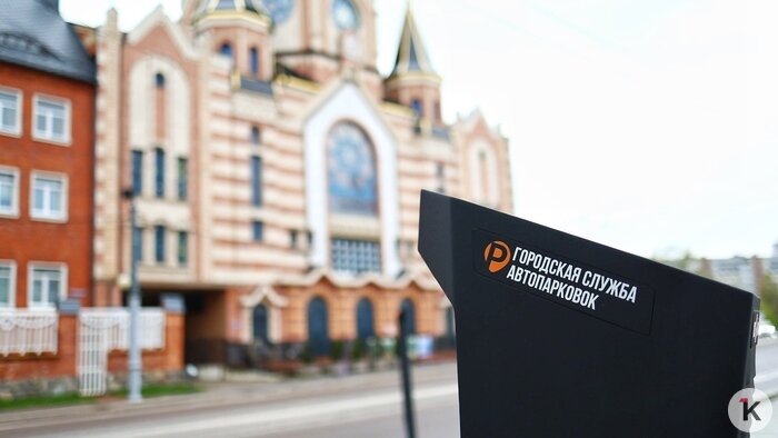 Блокада на любой вкус, дружба с головой и парковка оптом: события недели, которые обсуждали в Калининграде   - Новости Калининграда | Фото: Александр Подгорчук / Архив «Клопс»