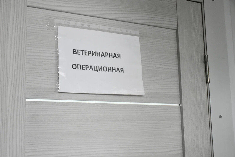 Весь корм - сухой и жидкий - закупают через процедуру торгов. Есть и своя ветеринарная операционная | Фото: Виктория Исаенко